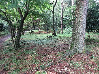 f0003283_06084964.jpg