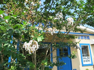 e0130185_1484367.jpg