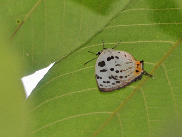 f0310988_23405538.jpg