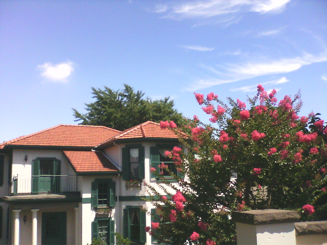 b0112789_21111276.jpg