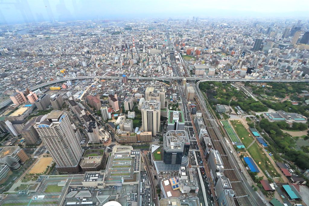 d0353401_1734356.jpg
