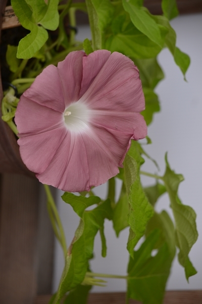 a0240403_13240512.jpg