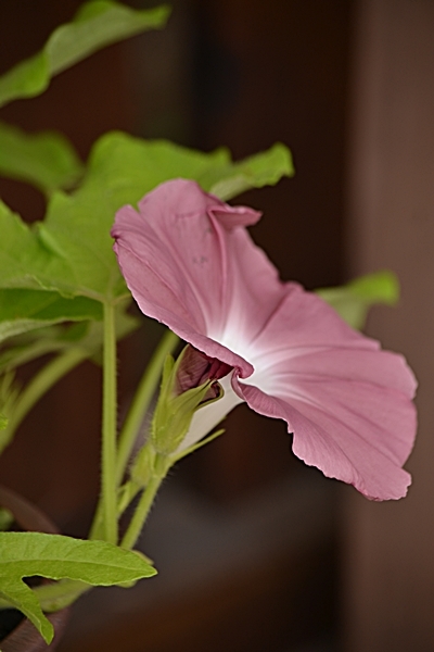 a0240403_13241450.jpg