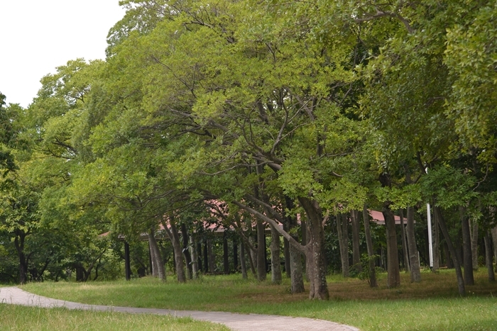 a0240403_13261339.jpg