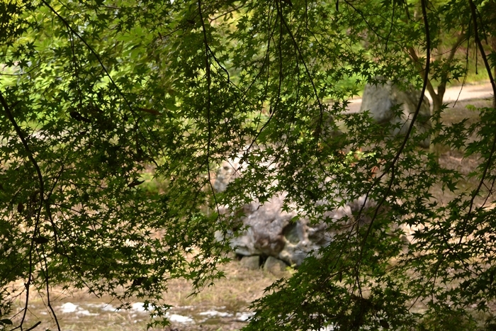 a0240403_13263470.jpg