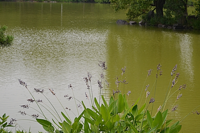 a0240403_13264799.jpg