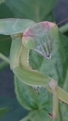 e0351303_19051413.jpg