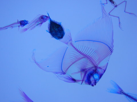 d0174707_18230981.jpg