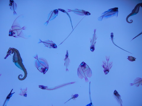 d0174707_18235025.jpg