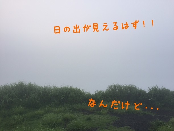 f0364707_10553428.jpg