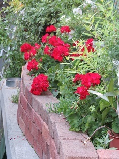 f0325309_05453905.jpg