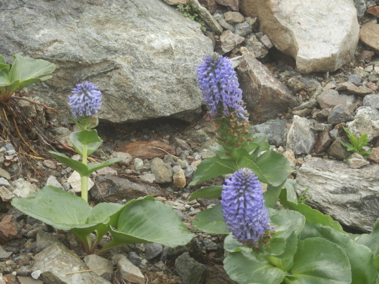f0219710_21302208.jpg