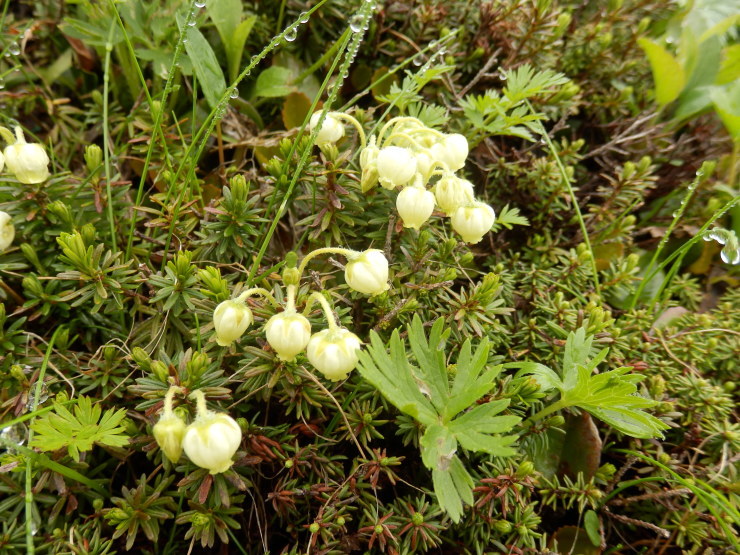 f0219710_21312578.jpg