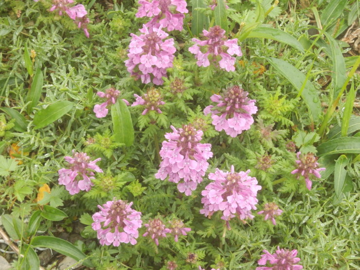 f0219710_21464182.jpg