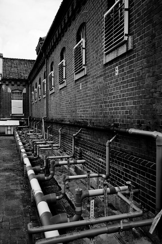 f0032011_20433416.jpg