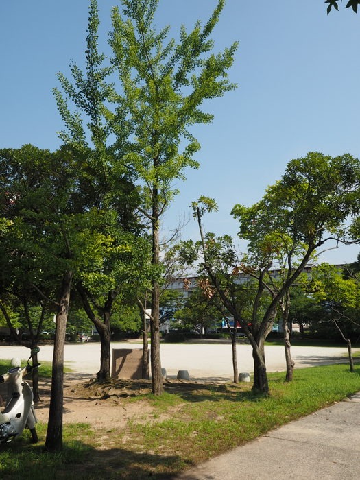 c0116915_23374592.jpg