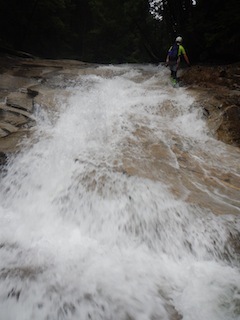 c0359615_22061984.jpg