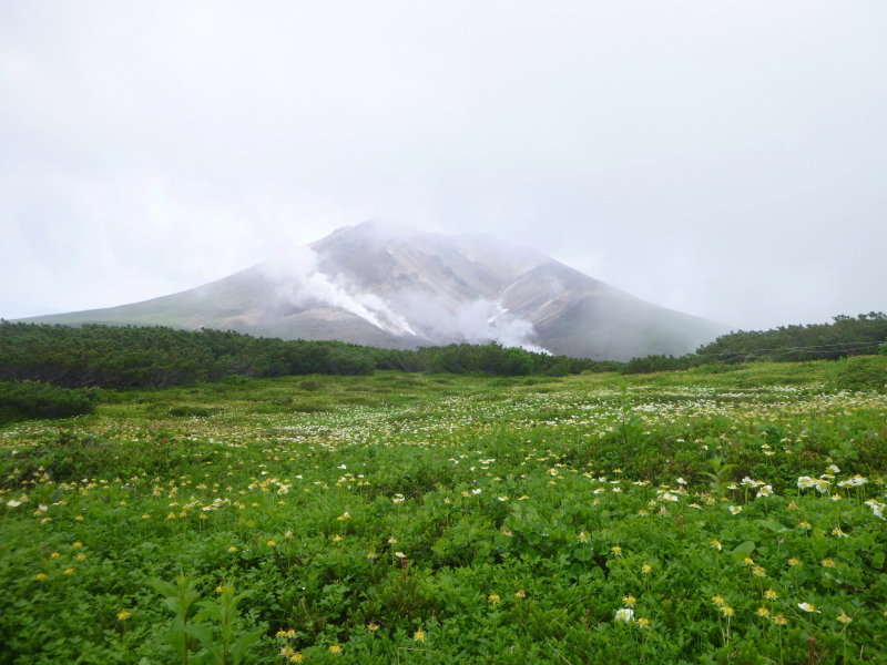d0170615_09451621.jpg