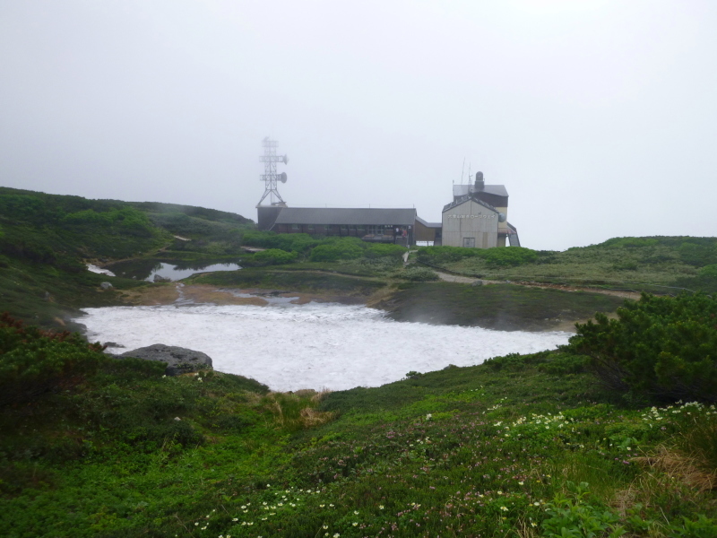 d0170615_09460452.jpg