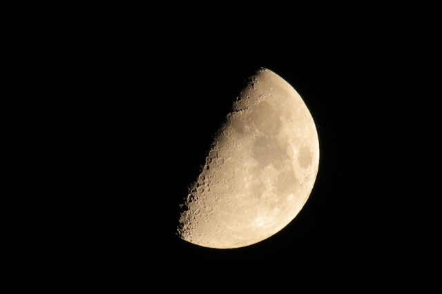 e0361216_10521044.jpg