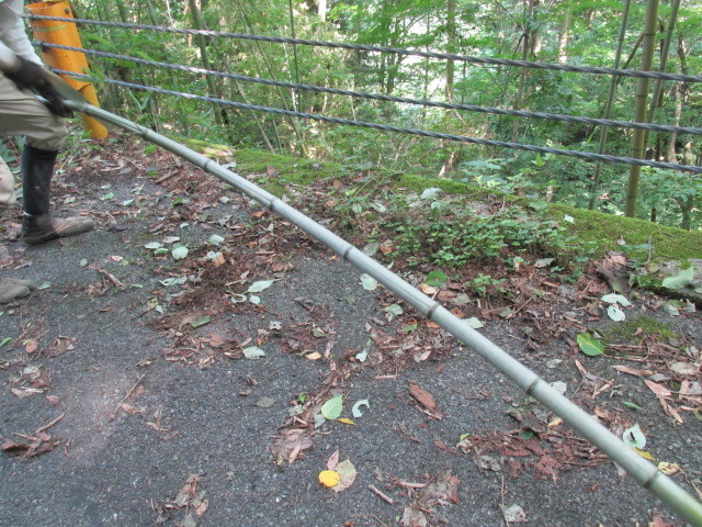 f0341616_16353737.jpg