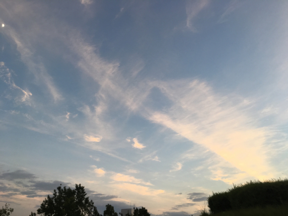 a0098418_22475717.jpg