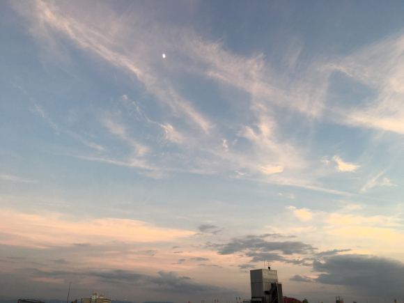 a0098418_22475916.jpg