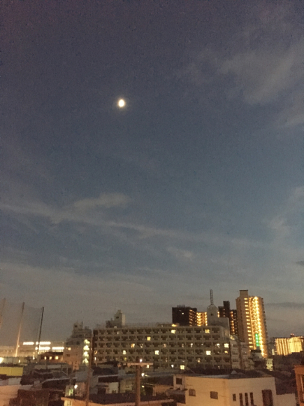 a0098418_22480080.jpg