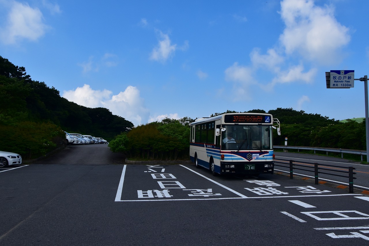 f0174419_20414378.jpg