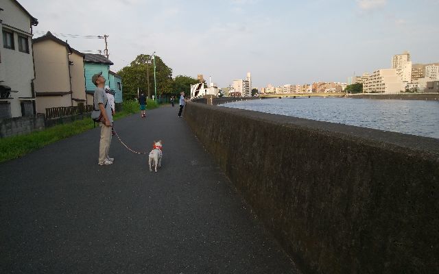 b0248920_21235399.jpg