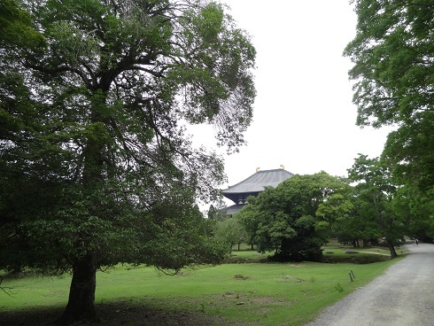 f0000521_04231488.jpg