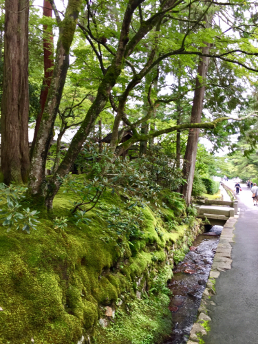 d0090824_18275209.jpg