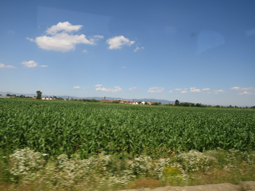 c0011649_20380669.jpg
