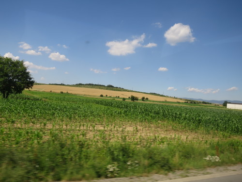 c0011649_20382332.jpg