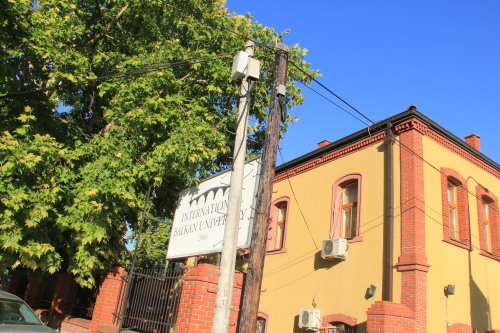 c0011649_22411244.jpg
