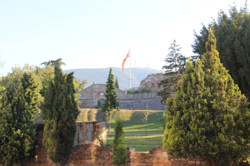 c0011649_22414050.jpg