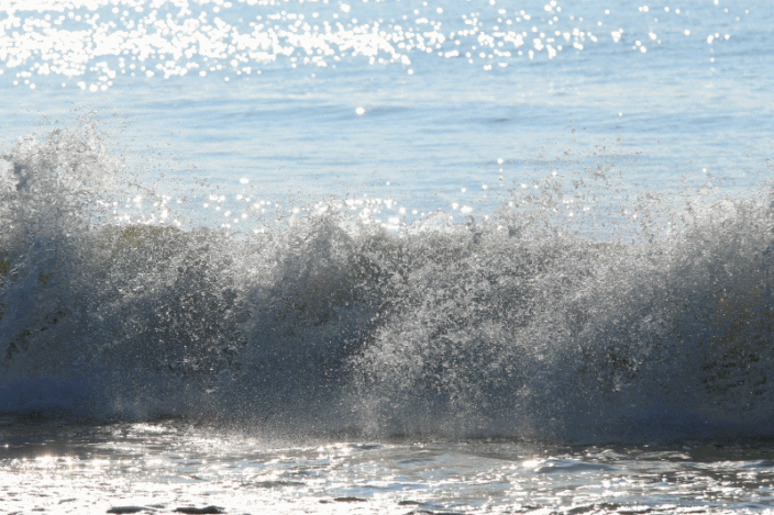 c0145250_10350119.gif