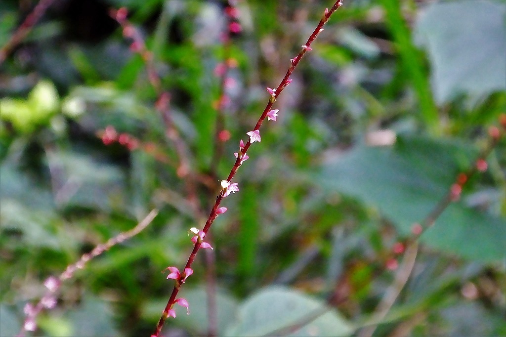 b0236251_12362240.jpg