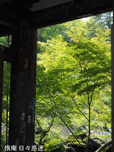 e0346064_19311832.gif