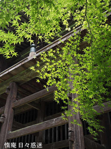 e0346064_19312015.gif