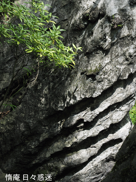 e0346064_20391836.gif