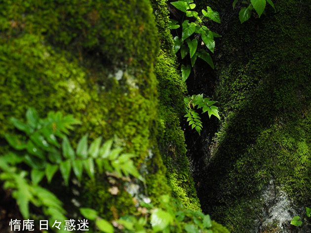 e0346064_20391848.gif