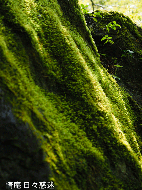 e0346064_20391955.gif