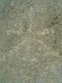 b0116271_17424366.jpg