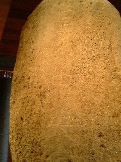 b0116271_17435173.jpg