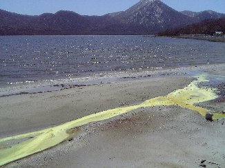 b0116271_17544375.jpg