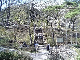 b0116271_18095379.jpg