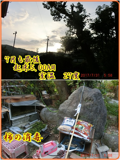 d0007071_963719.jpg