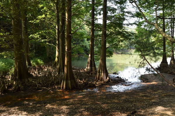 b0259372_1361556.jpg