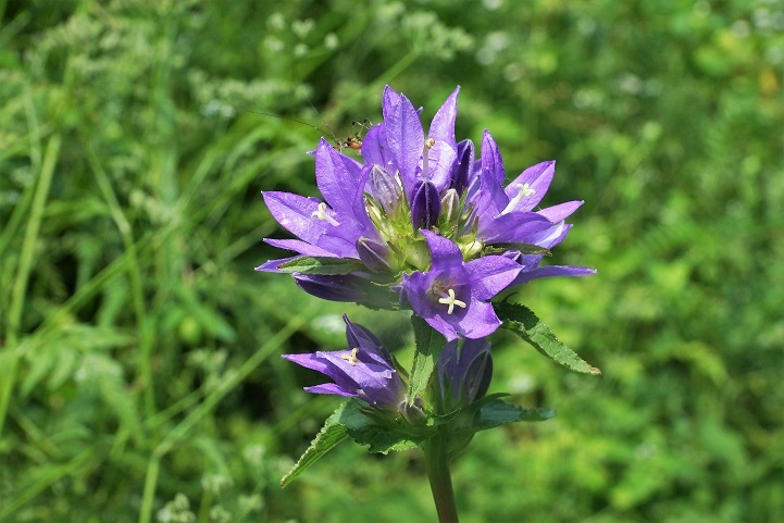 c0248473_20090777.jpg